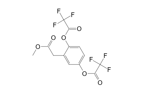 Benzeneacetic acid, 2,5-bis[(trifluoroacetyl)oxy]-, methyl ester
