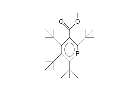 2,4,5,6-Tetra-tert-butyl-phosphabenzene-3-carboxylic acid, methyl ester