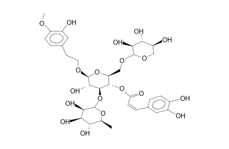 3-RHAMNOSYL-4-(3',4'-DIHYDROXYPHENYL-ETHENYL-KETO)-6-XYLYL-GLUCOSE-(3-HYDROXY-4-METHOXY)-PHENYLETHANOID