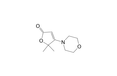 5,5-Dimethyl-4-morpholin-4-yl-5H-furan-2-one
