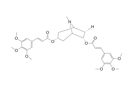 PERVILLEINE-C;3-ALPHA,6-BETA-DI-[(E)-(3,4,5-TRIMETHOXYCINNAMOYLOXY)]-TROPANE