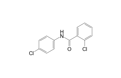 2,4'-dichlorobenzanilide