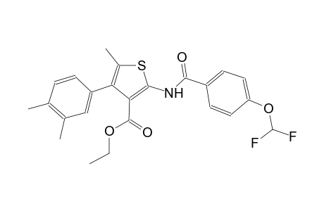 ethyl 2-{[4-(difluoromethoxy)benzoyl]amino}-4-(3,4-dimethylphenyl)-5-methyl-3-thiophenecarboxylate