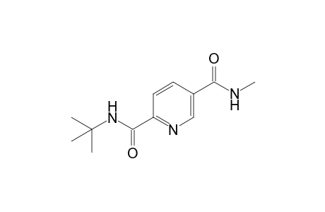N(2)-[1',1'-Dimethylethyl]-N(5)-methyl-2,5-pyridinedicarboxamide