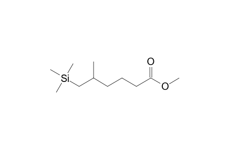 Methyl (5RS)-5-methyl-6-(trimethylsilylhexanoate