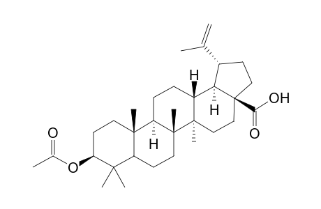 3-(acetyloxy)lup-20(29)-en-28-oic acid
