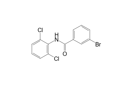 3-bromo-2',6'-dichlorobenzanilide