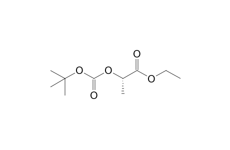 (2S)-2-tert-butoxycarbonyloxypropionic acid ethyl ester