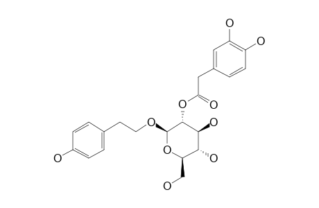 TERNSTROSIDE_E;2-(4-HYDROXYPHENYL)-ETHYL_2-O-(3,4-DIHYDROXYPHENYLETHANOYL)-BETA-D-GLUCOPYRANOSIDE