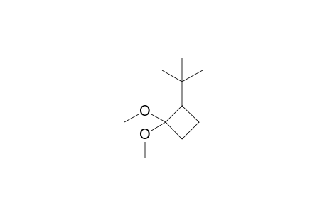 2-tert-Butyl-1,1-dimethoxycyclobutane