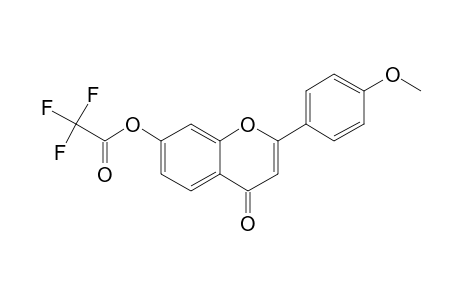 7-Hydroxy-4'-methoxyflavone, trifluoroacetate