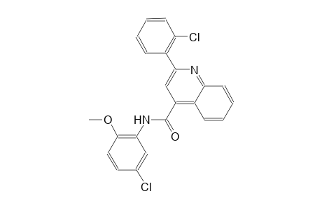 N-(5-chloro-2-methoxyphenyl)-2-(2-chlorophenyl)-4-quinolinecarboxamide