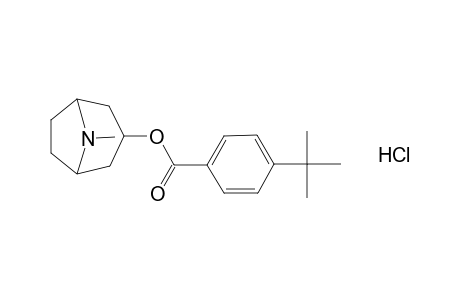 tropan-3-ol, p-tert-butylbenzoate (ester), hydrochloride