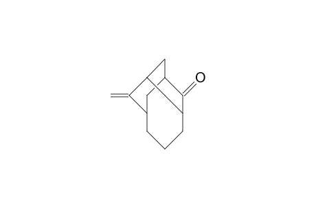 8-Methylene-tricyclo(5.3.1.1/3,9/)dodecan-2-one