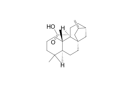 Kaur-16-ene-15-carboxylic acid, (5.alpha.,9.alpha.,10.beta.,15.alpha.)-