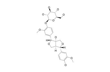 8'-HYDROXYPINORESINOL-4'-O-BETA-D-GLUCOSIDE