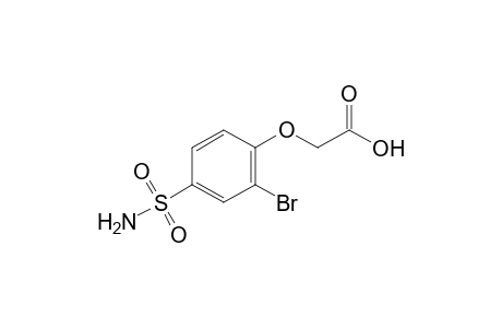 (2-bromo-4-sulfamoylphenoxy)acetic acid