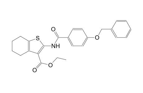 benzo[b]thiophene-3-carboxylic acid, 4,5,6,7-tetrahydro-2-[[4-(phenylmethoxy)benzoyl]amino]-, ethyl ester