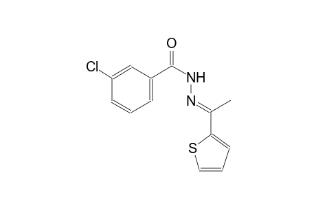 3-chloro-N'-[(E)-1-(2-thienyl)ethylidene]benzohydrazide