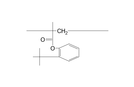 Poly(o-tert-butylphenyl methacrylate)