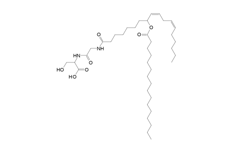 NAGlySer 16:0/18:2