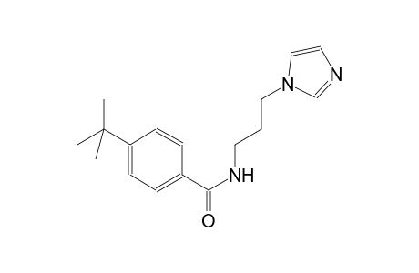 4-tert-butyl-N-[3-(1H-imidazol-1-yl)propyl]benzamide
