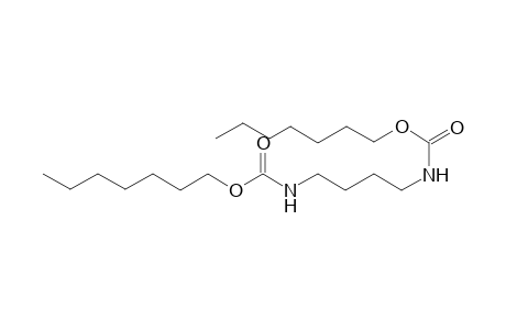 diheptyl butane-1,4-diyldicarbamate
