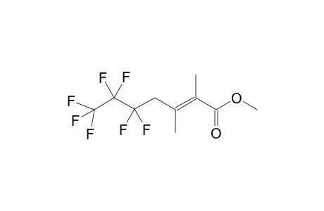 Methyl 5,5,6,6,6,7,7,7-heptafluoro-2,3-dimethyl-2-heptenoate