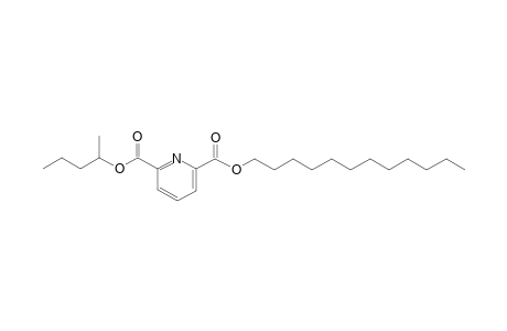 2,6-Pyridinedicarboxylic acid, dodecyl 2-pentyl ester