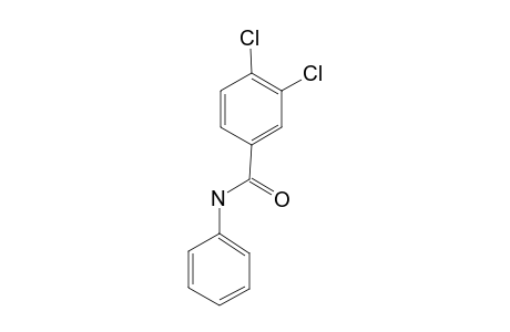 3,4-Dichloro-N-phenylbenzamide