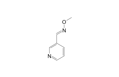 PYRIDINE-3-CARBOXALDEHYDE-O-METHYLOXIME