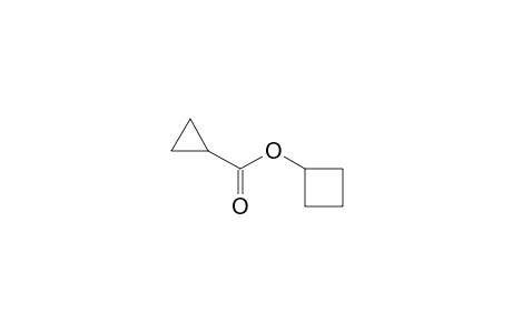 Cyclobutyl cyclopropanecarboxylate