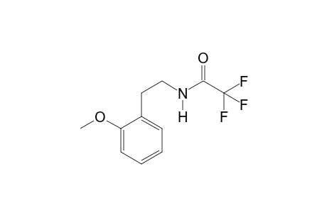2-Methoxyphenethylamine TFA