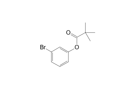 3-Bromophenyl pivalate