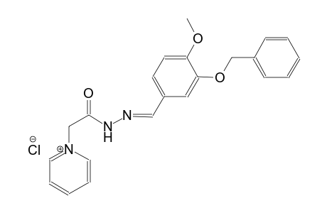 pyridinium, 1-[2-[(2E)-2-[[4-methoxy-3-(phenylmethoxy)phenyl]methylene]hydrazino]-2-oxoethyl]-, chloride