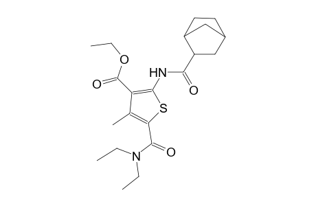 ethyl 2-[(bicyclo[2.2.1]hept-2-ylcarbonyl)amino]-5-[(diethylamino)carbonyl]-4-methyl-3-thiophenecarboxylate