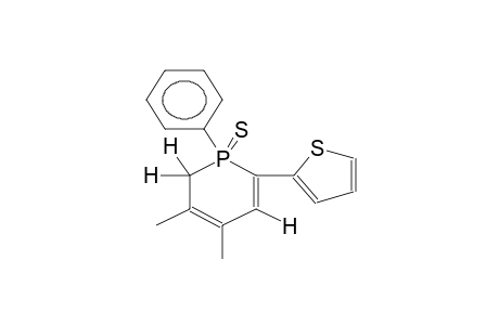 1-PHENYL-2-(2-THIENYL)-4,5-DIMETHYL-1,6-DIHYDROPHOSPHORINE SULPHIDE