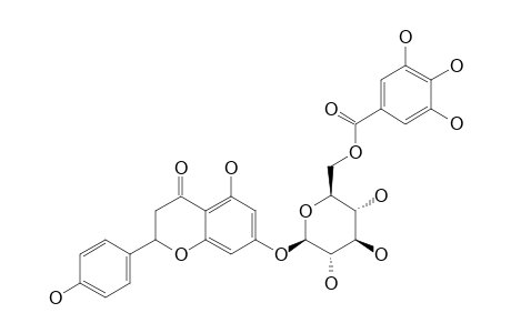 NARINGENIN-7-O-BETA-(6''-GALLOYLGLUCOPYRANOSIDE)