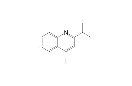 2-Isopropyl-4-iodoquinoline