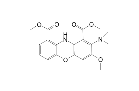 Pycnosangiun