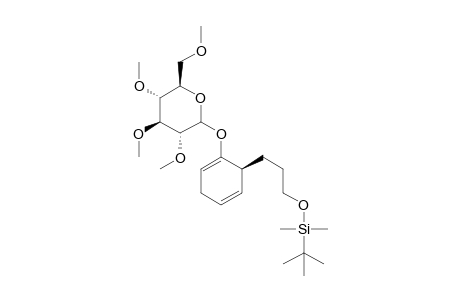 1.beta.-(per-O-Methyl-.beta.,D-glucopyranosyloxy)-6-(3-tert-butyldimethylsilyloxypropyl)-1,4-cyclohexadiene