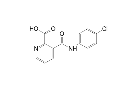 3-[(p-chlorophenyl)carbamoyl]picolinic acid