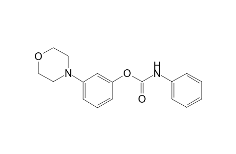 3-(4-Morpholinyl)phenyl phenylcarbamate