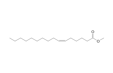 (6Z)-Hexadecenoate <methyl->