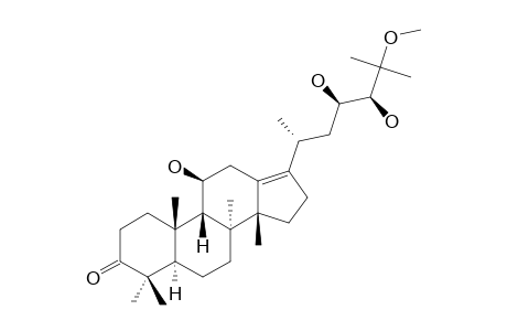 25-O-METHYLALISOL-A