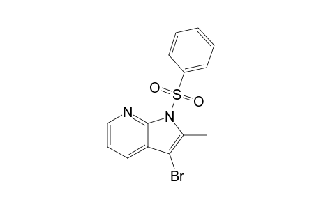 1-(benzenesulfonyl)-3-bromo-2-methyl-pyrrolo[2,3-b]pyridine