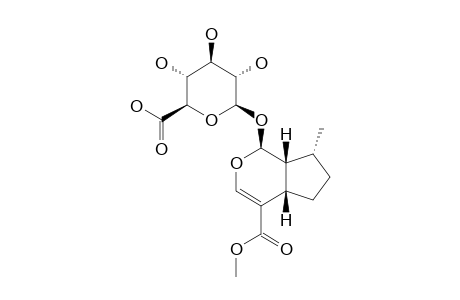 6'-CARBOXY-7-DEOXY-8-EPI-LOGANIN