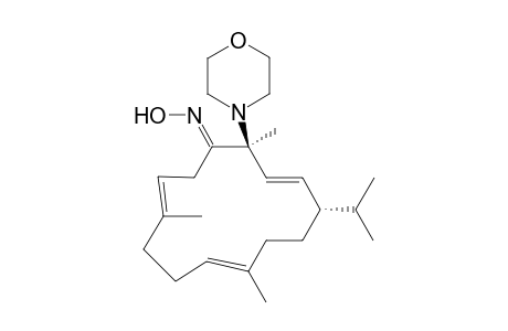 (3E,7E,12E)-(11S,14S)-11-Isopropyl-4,8,14-trimethyl-14-morpholin-4-yl-cyclotetradeca-3,7,12-trienone oxime