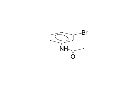 N-acetyl-m-bromoaniline