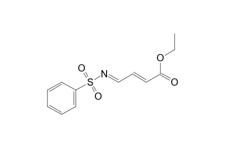 (E,4E)-4-(benzenesulfonylimino)-2-butenoic acid ethyl ester